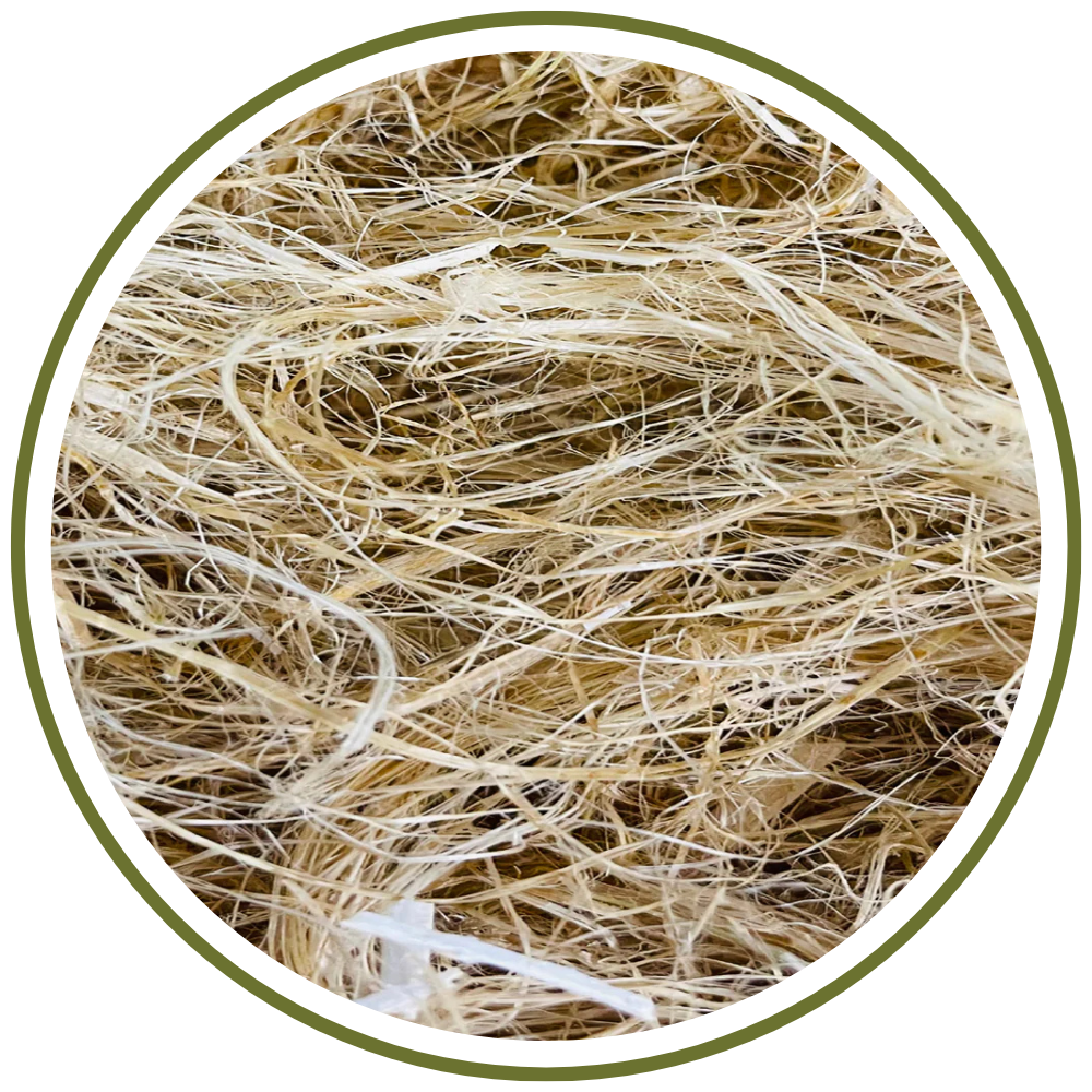 Hemp Fibers ingredient for natural hair resilience